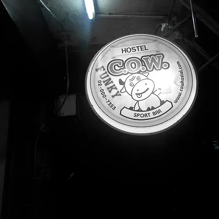 Wacky Fun Party Hostel